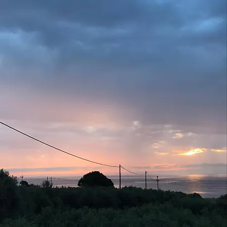 ελαίας λειμών