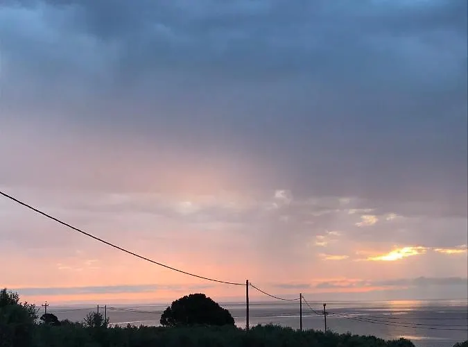 ελαίας λειμών