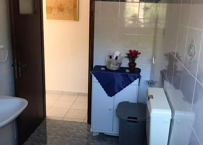 فيلة ελαίας λειμών *