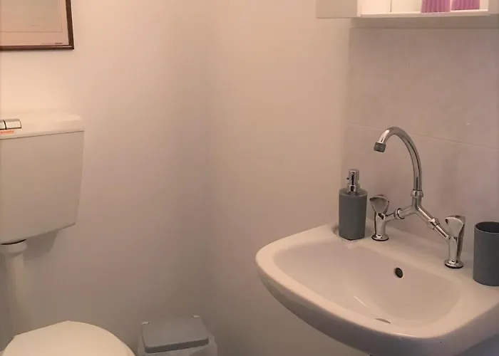 ελαίας λειμών *