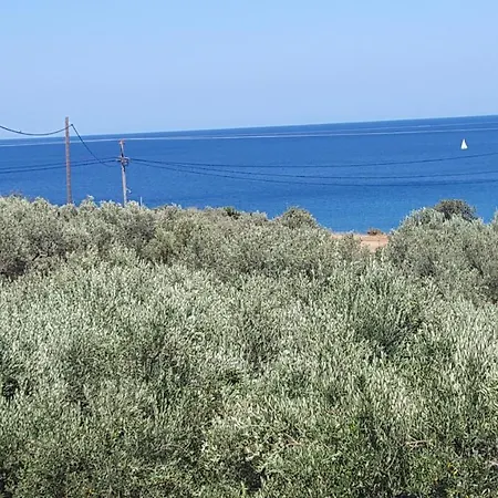 ελαίας λειμών מונמבאסיה