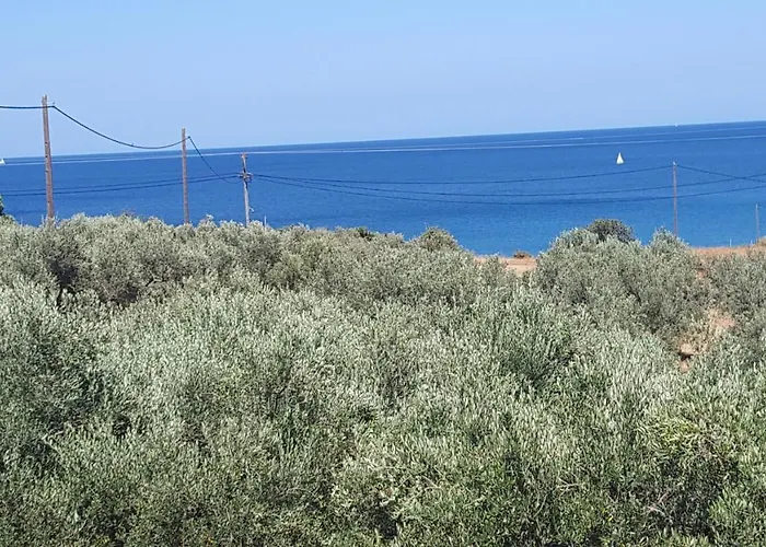 ελαίας λειμών 모넴바시아